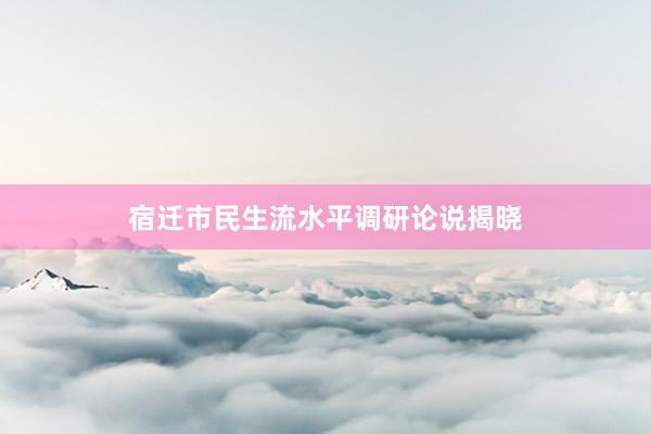 宿迁市民生流水平调研论说揭晓